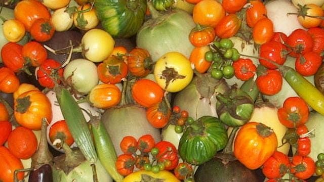 Missione Cuncina | In cucina con i migliori. L'Italia si conferma leader dei prodotti di qualità