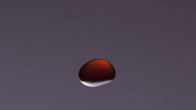 Missione Cuncina | Gli aromi del caffè in mostra alla Triennale