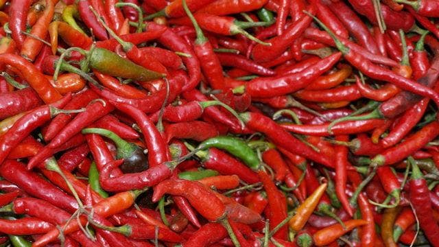 Missione Cuncina | Che festa in Calabria con il Peperoncino Festival a Diamante