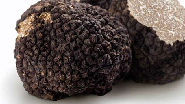 Missione Cuncina | Ad Arezzo un weekend gustoso in arrivo con