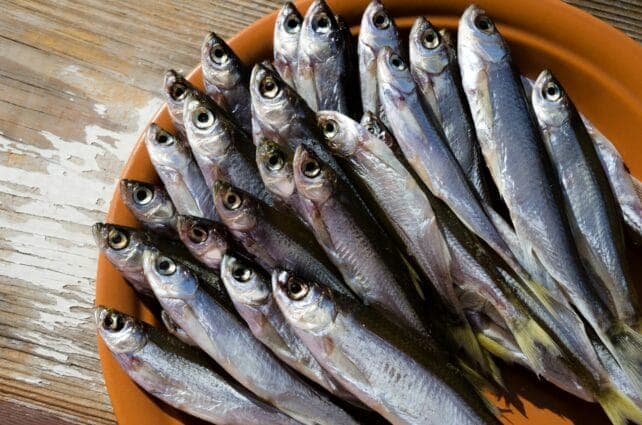 piatto di alborelle fresche appena pescate