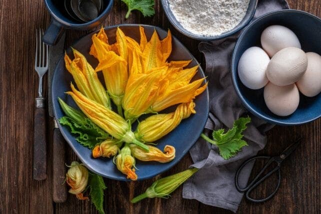 piatto con fiori di zucca freschi