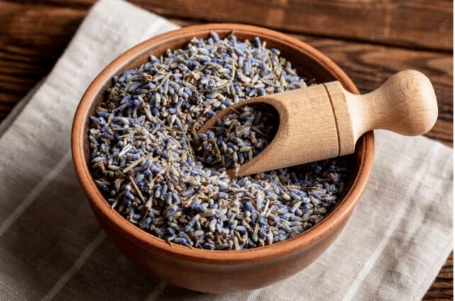 fiori di lavanda essiccati