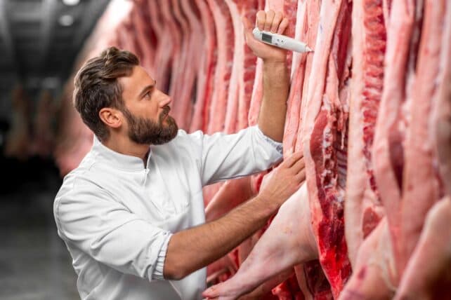 giovane uomo che controlla la frollatura della carne