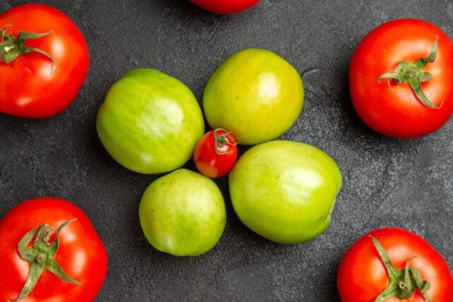 pomodori verdi e rossi