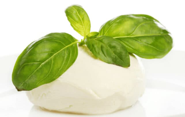 mozzarella con basilico per ricetta facili e veloci