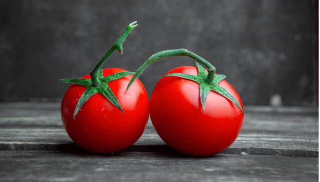 pomodoro fresco per gelatine e salse al pomodoro