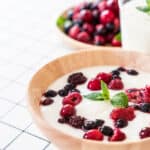 yogurt ai frutti di bosco